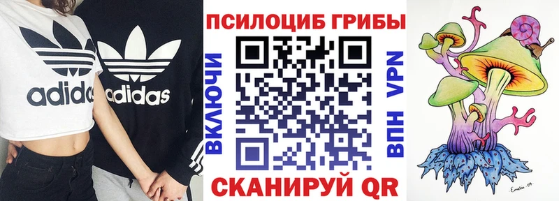 Галлюциногенные грибы Cubensis OMG онион Городище