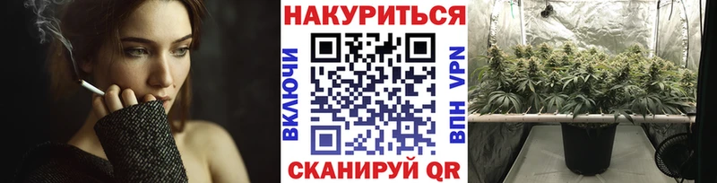 дарнет шоп Городище Бошки Шишки VHQ